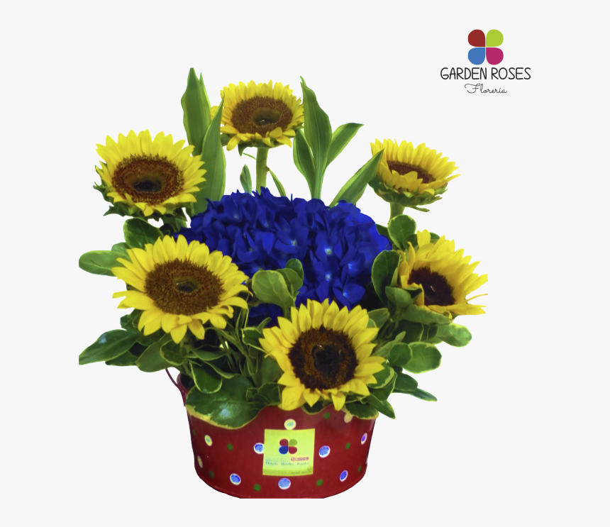 Bouquet, HD Png Download
