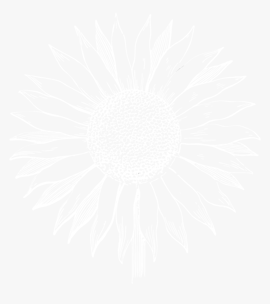 Los Girasoles Ranch - Common Sunflower, HD Png Download