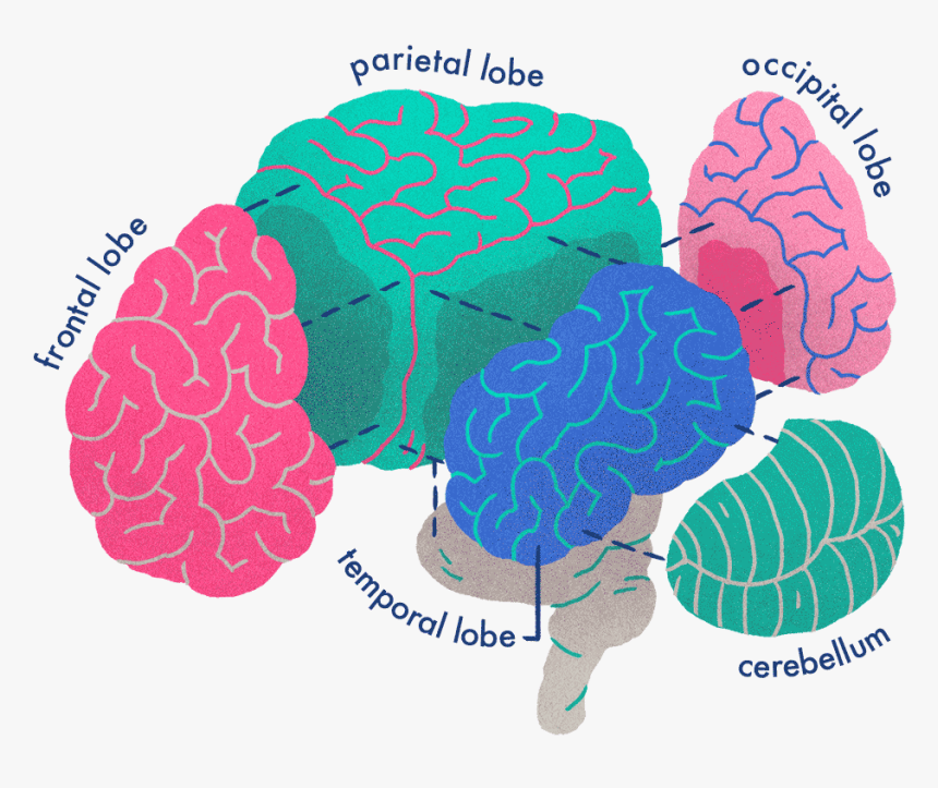 Illustration, HD Png Download