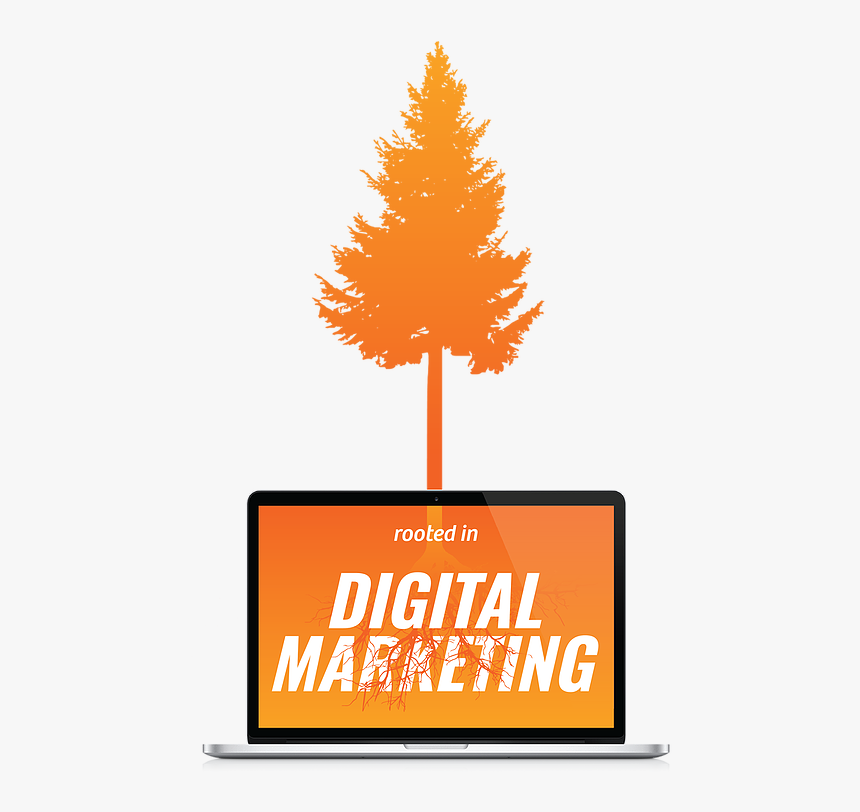 White Pine, HD Png Download