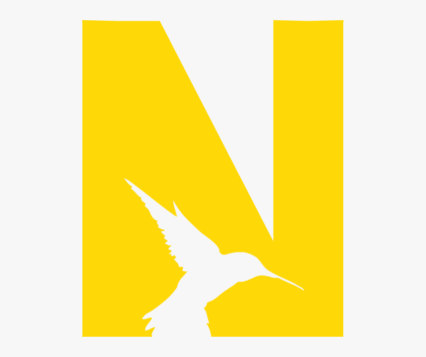 Hummingbird, HD Png Download