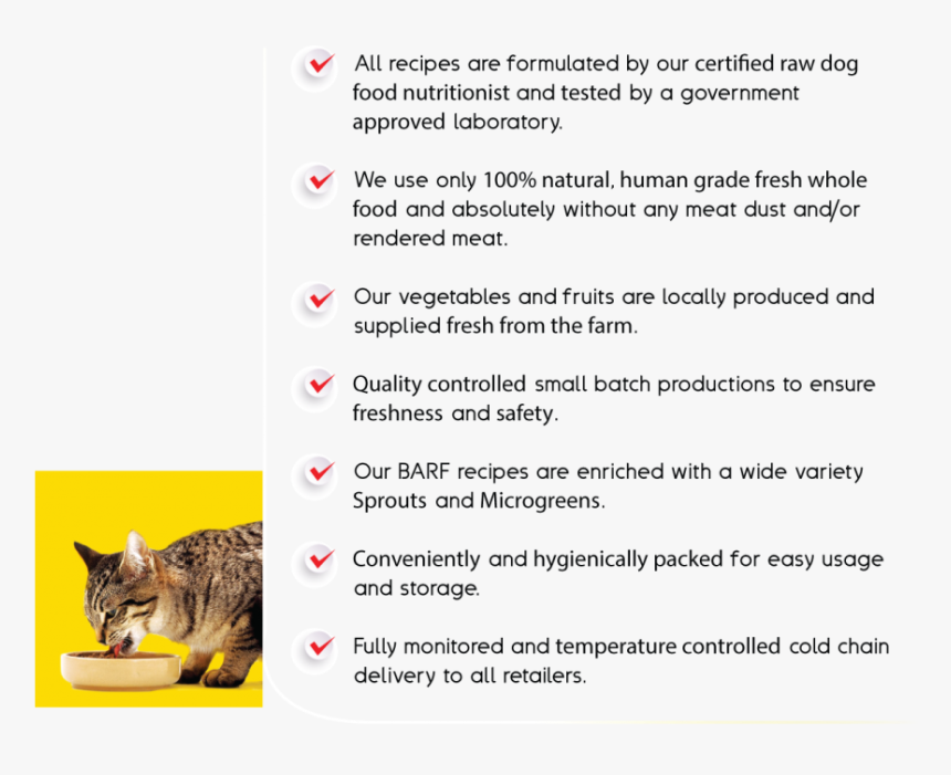 Domestic Short-haired Cat, HD Png Download