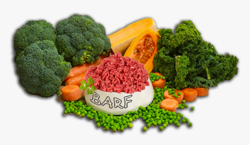 100% Raw Natural Diet For Your Best Friend - Broccoli, HD Png Download