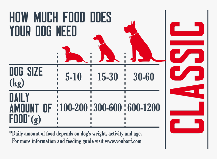 Design, HD Png Download