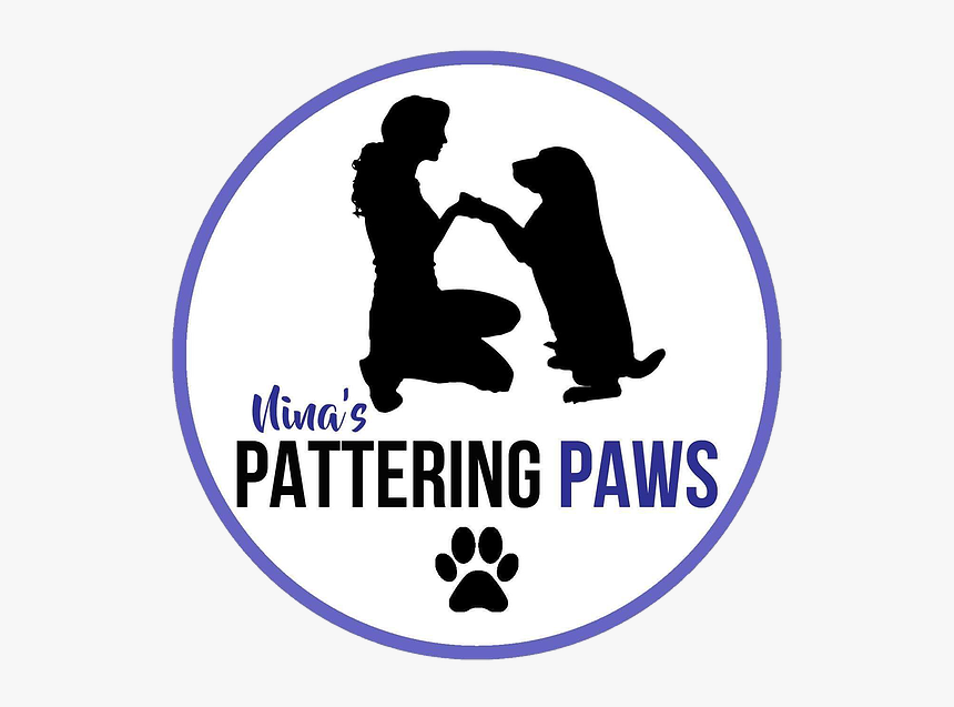 Transparent Dog Walker Clipart - Girl And Dog Vector, HD Png Download