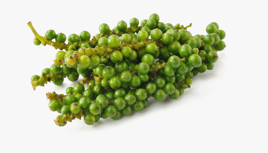 Green Pepper Pluspng - Green Pepper Png, Transparent Png
