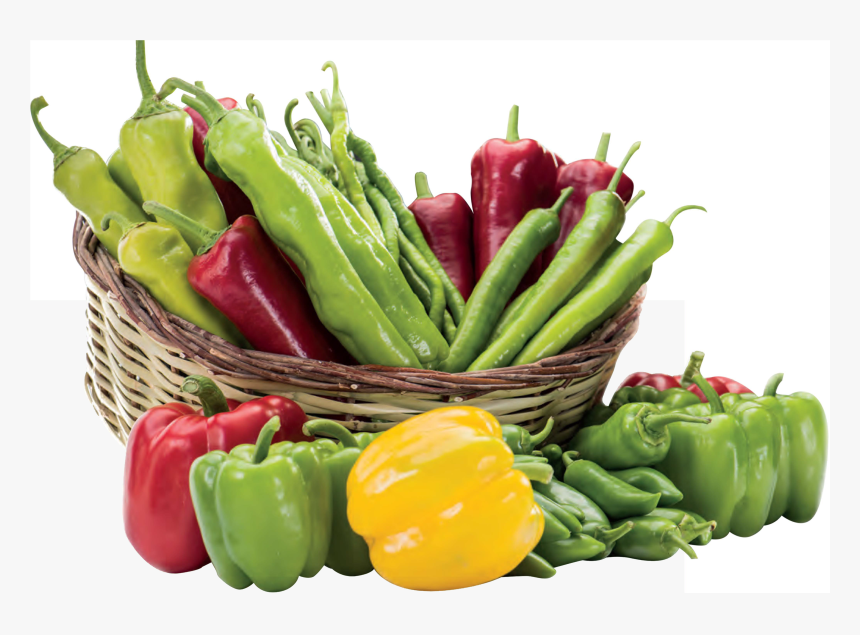 Pepper - Green Bell Pepper, HD Png Download