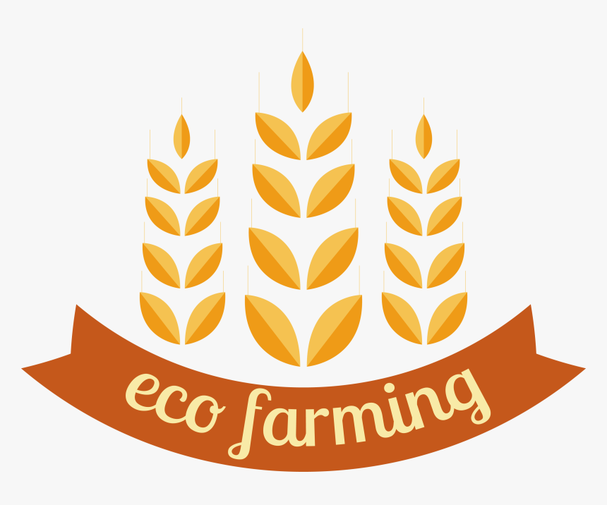 Portable Network Graphics, HD Png Download