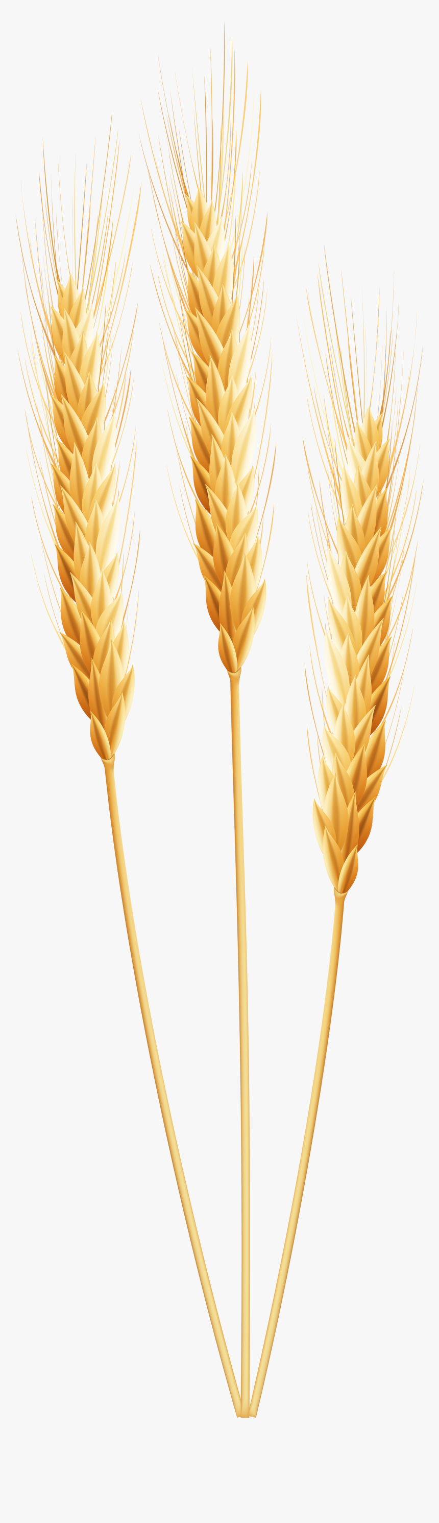 Grain Clip Art - Wheat Clipart Png, Transparent Png
