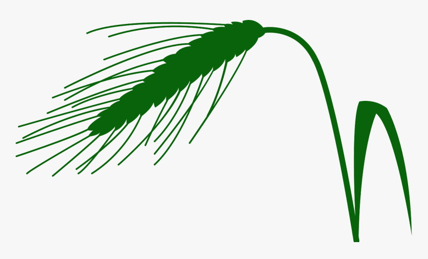 Silhouette Weizen, HD Png Download