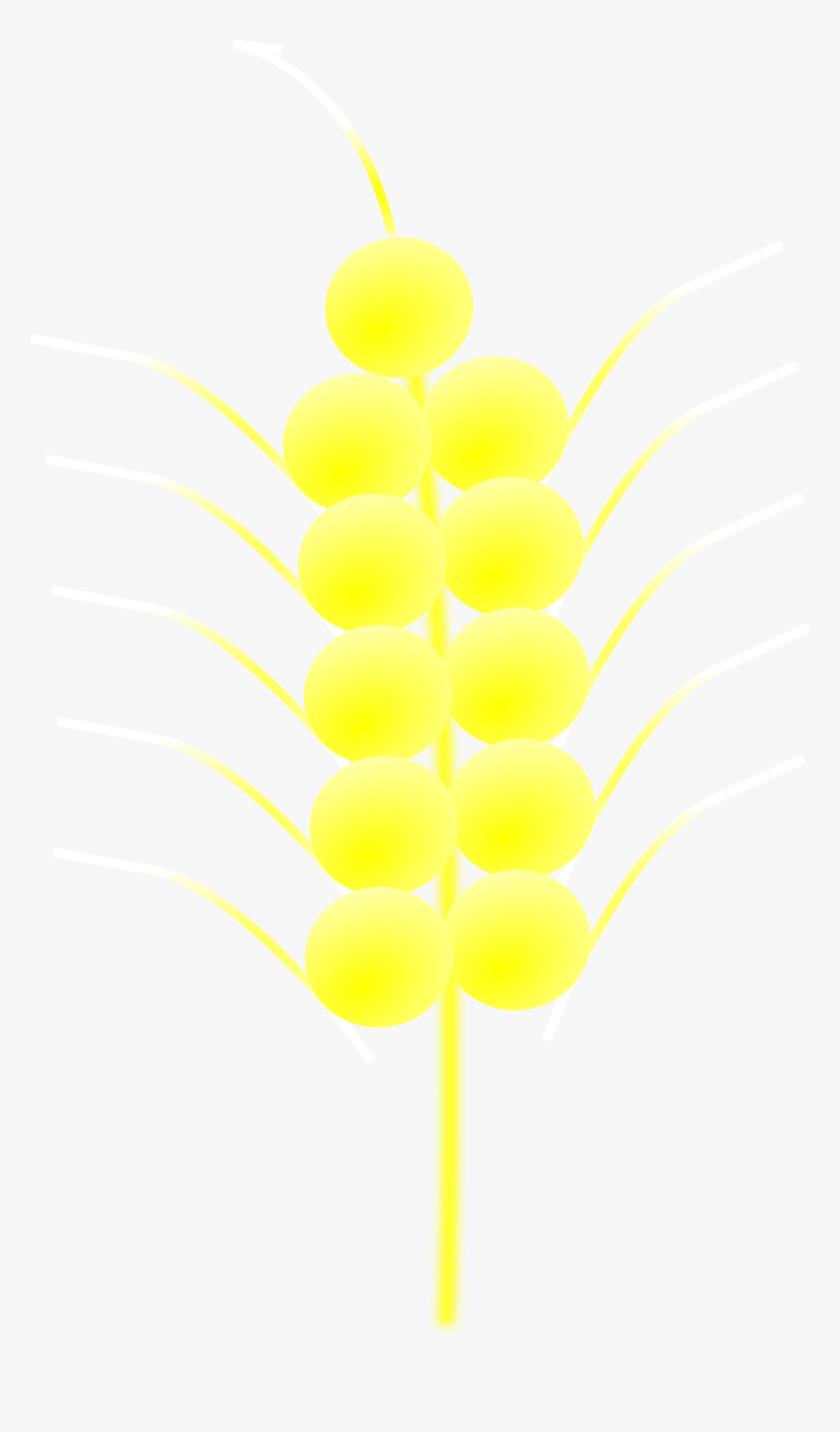 Free Vector Wheat - Still Life Photography, HD Png Download