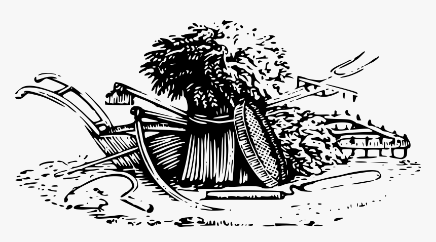 Wheat Harvest Clip Arts - Harvest Black And White, HD Png Download