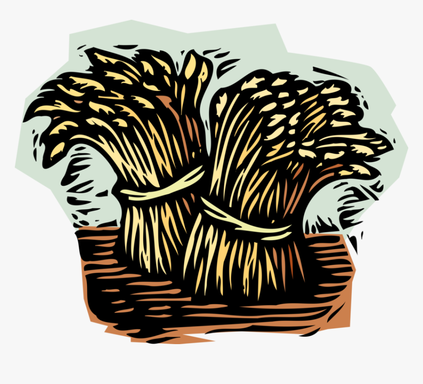 Vector Illustration Of Wheat Sheaves Sheaf Bundles - Sheaves Of Wheat, HD Png Download