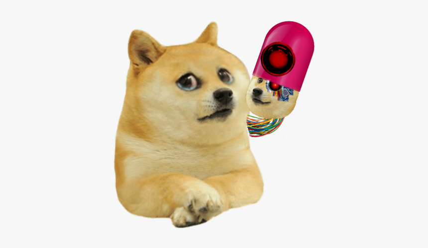 Lil Bro Doge, HD Png Download