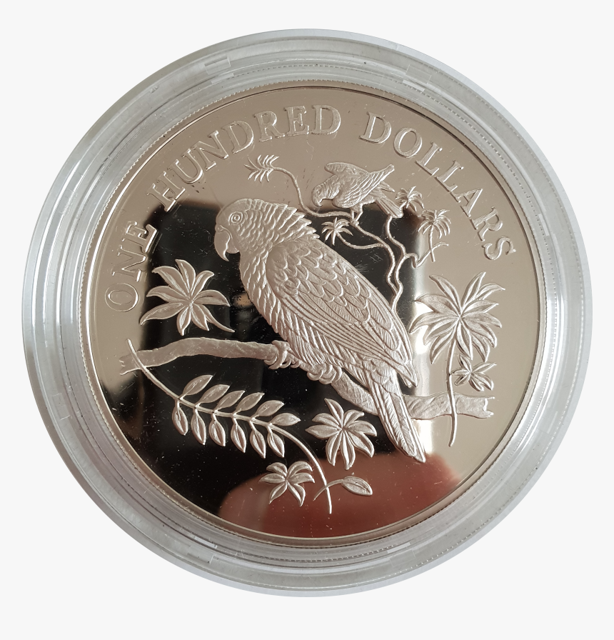 Dominica, 100 Dollars, Imperial Amazon, 1988, Silver - Coin, HD Png Download