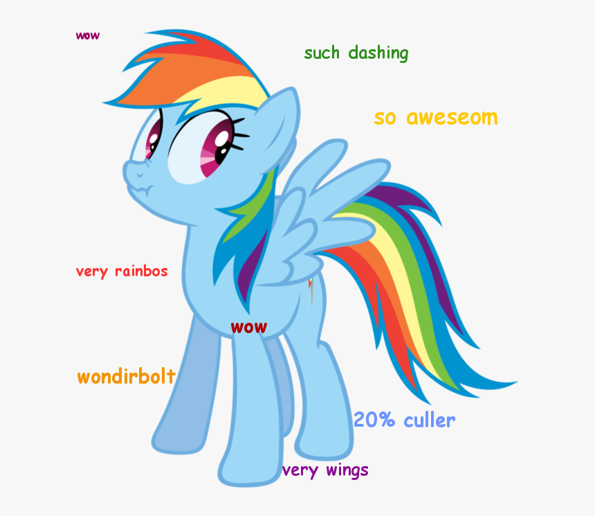 Dashie Doge - - Cullen - What S With The Internet S, HD Png Download