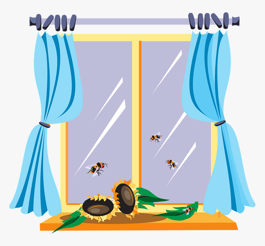 Window, Garden, Curtains, Blue, Glass, Sunflowers, - Window With Curtains Clipart, HD Png Download
