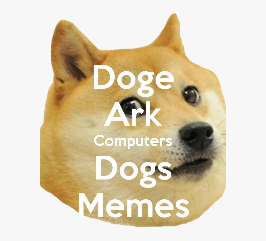 Doge Ark Computers Dogs Memes - Foxhound, HD Png Download