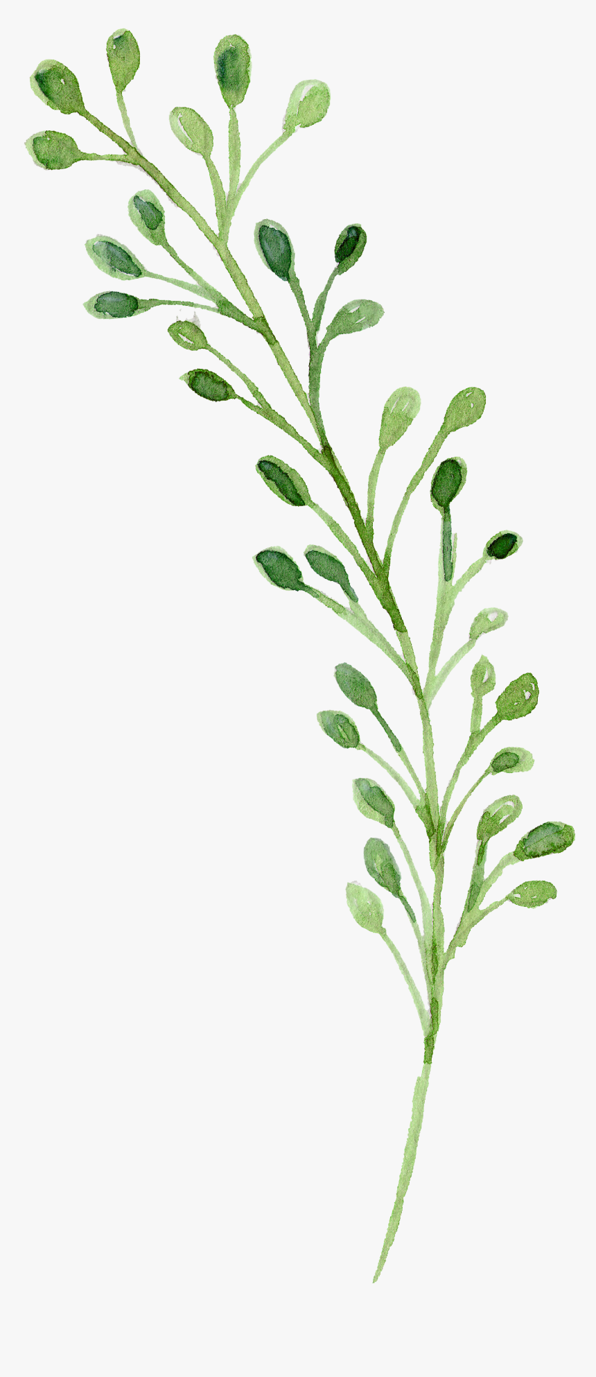 Watercolor Green Flowers Painting Download Free Image - Watercolor Green Flower Png, Transparent Png