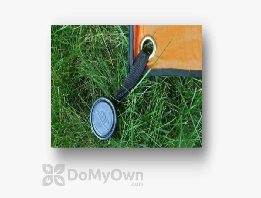Grass, HD Png Download