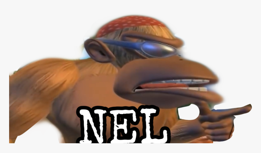 #funkykong #elpaisdedonkeykong #donkeykongcountry #poophispano - Monkey, HD Png Download