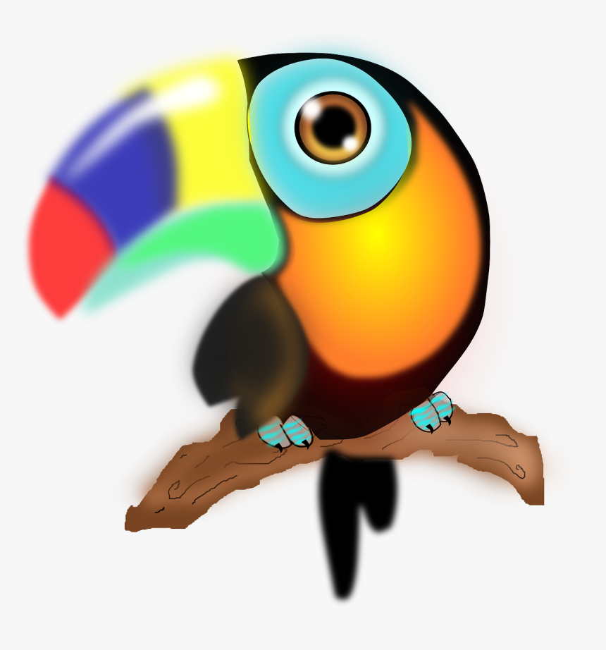Parrot With Colorful Beak, HD Png Download