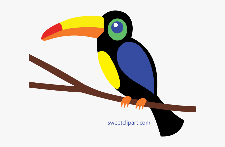 Transparent Tucan Png - Tucan Clipart, Png Download