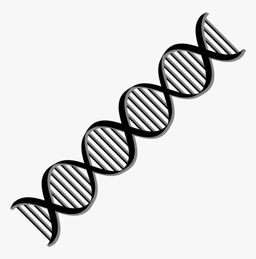 Transparent Black And White Dna Clipart - Clipart Dna Double Helix, HD Png Download