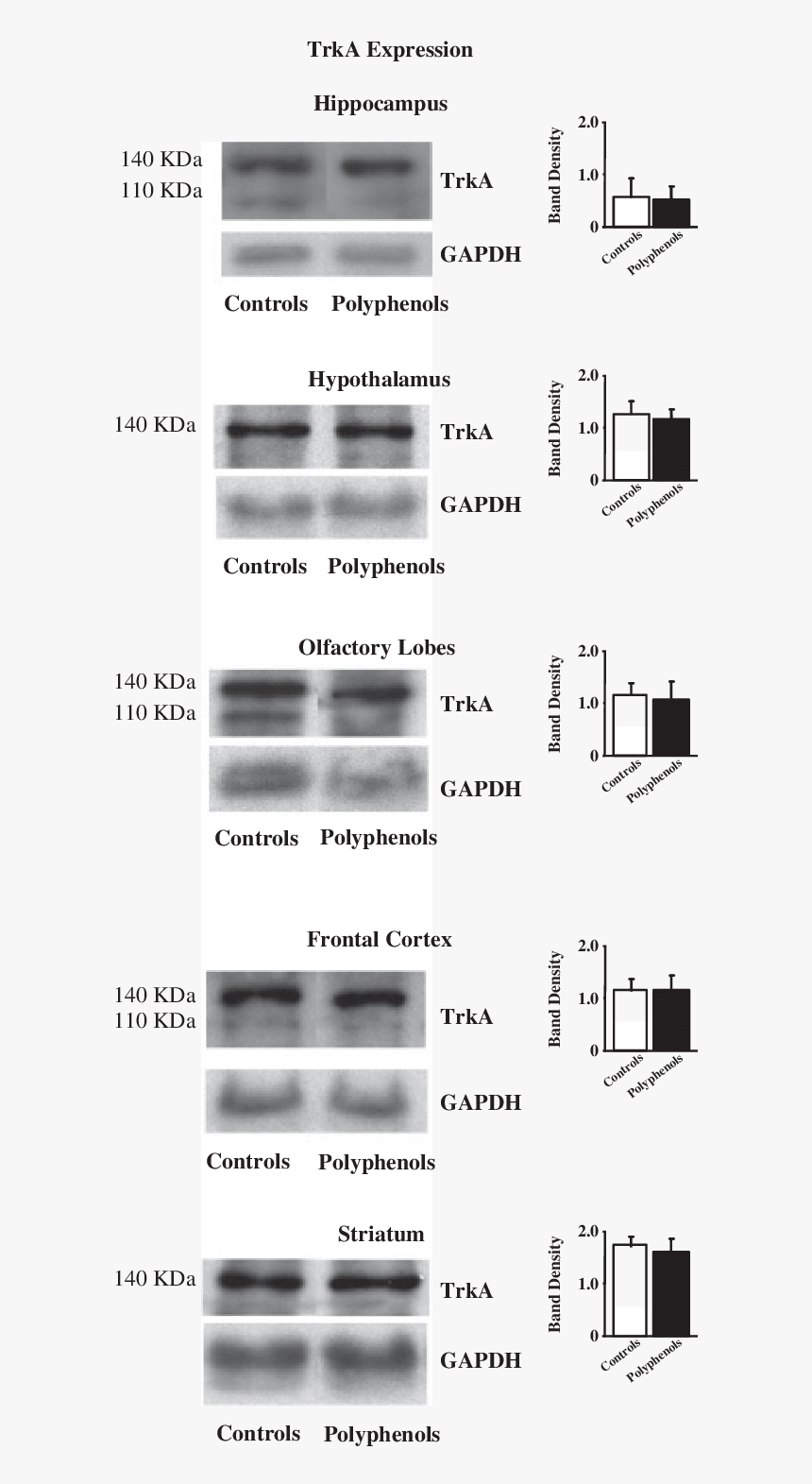 Diagram, HD Png Download