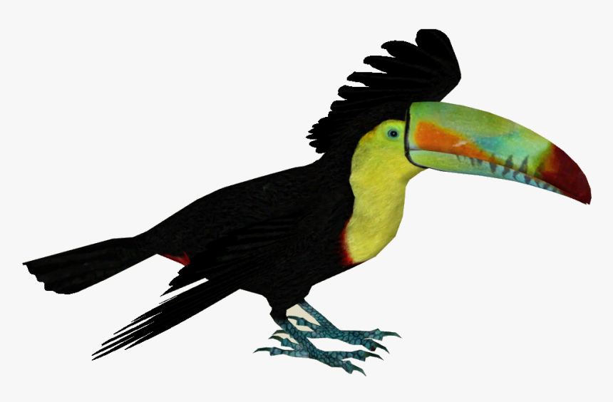 Keel Billed Toucan Png, Transparent Png