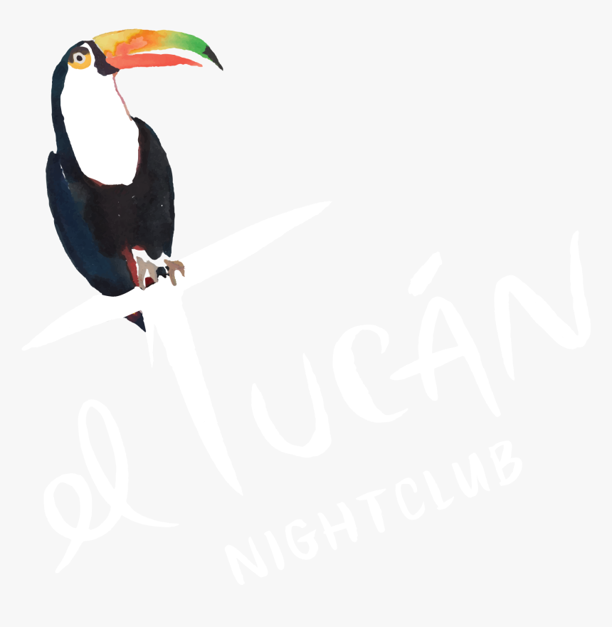 El Tucan Miami Logo Png, Transparent Png