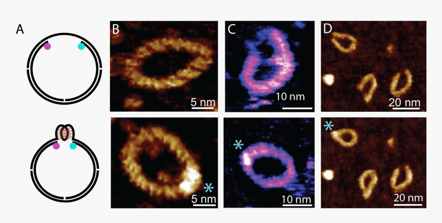 Picture - Astronomy, HD Png Download