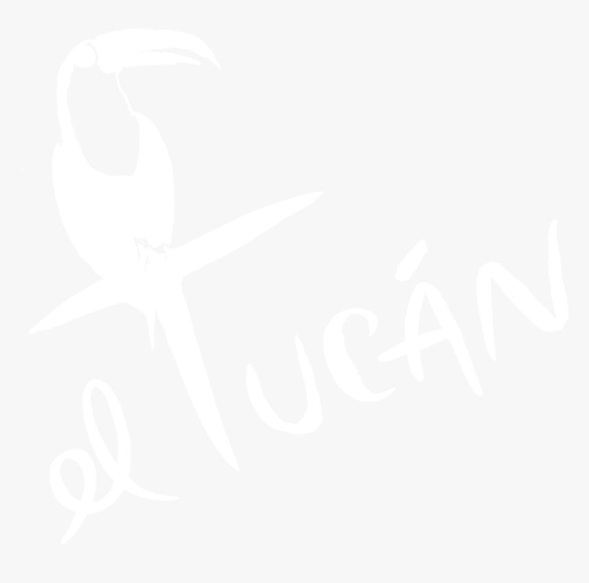 Eltucanmiami - Toucan, HD Png Download