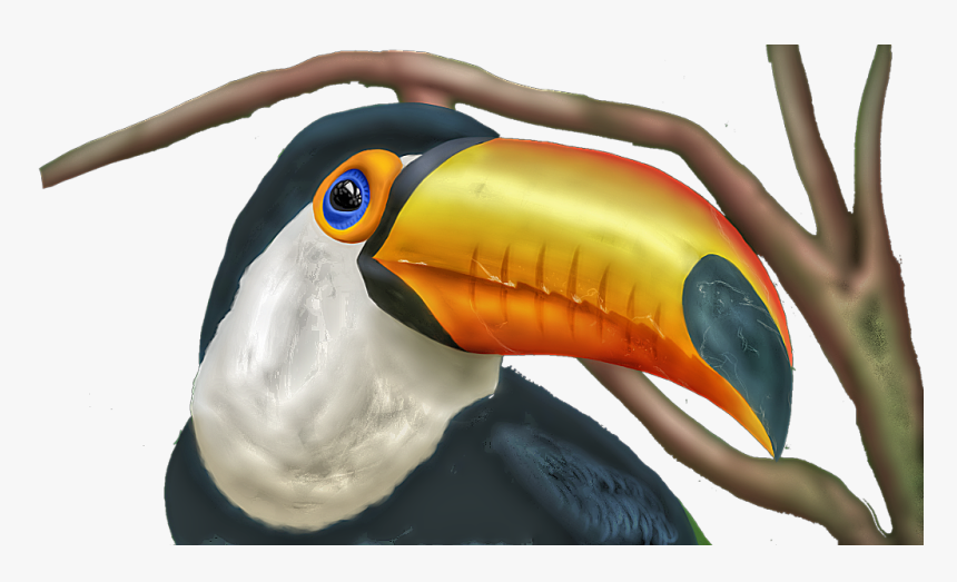 #tucan, HD Png Download