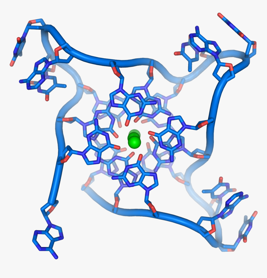 Quadruple Dna - Dna Found, HD Png Download