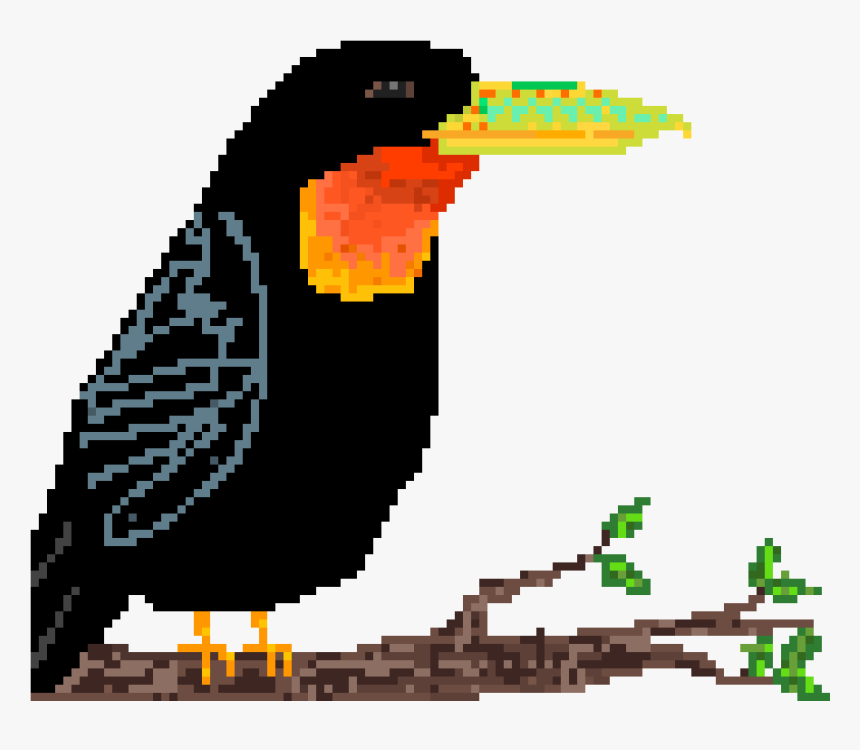 Piciformes, HD Png Download