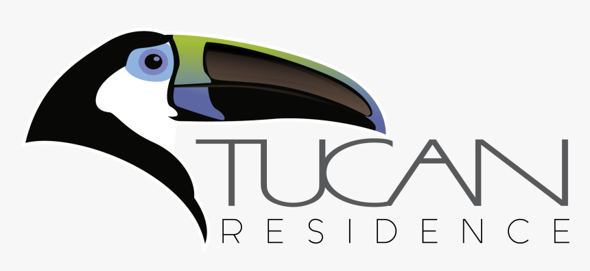 Piciformes, HD Png Download