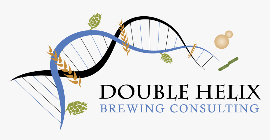 Double Helix Brewing Consulting - Graphic Design, HD Png Download