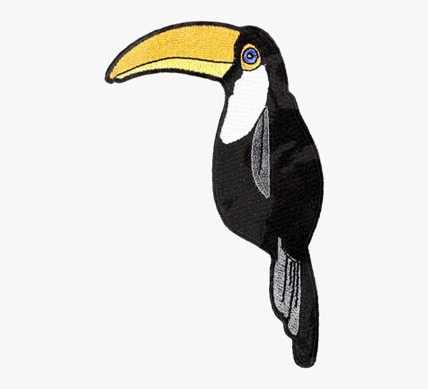 Toucan, HD Png Download