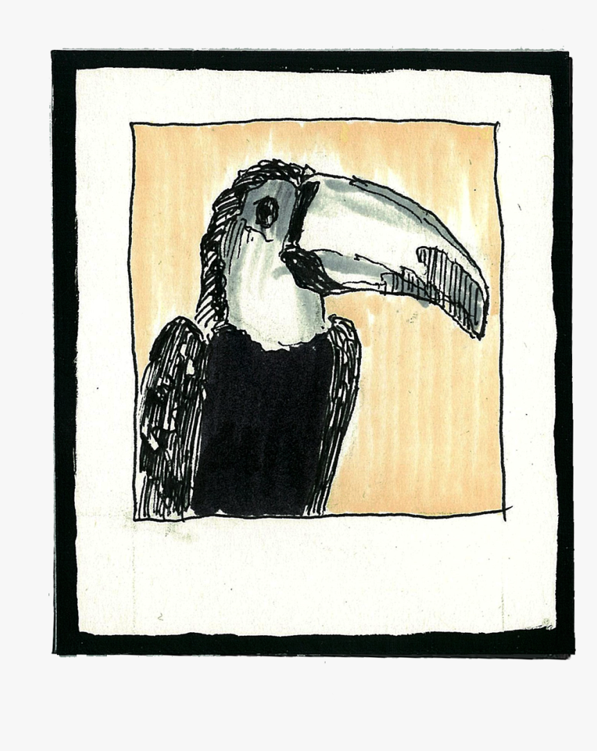 Hornbill, HD Png Download