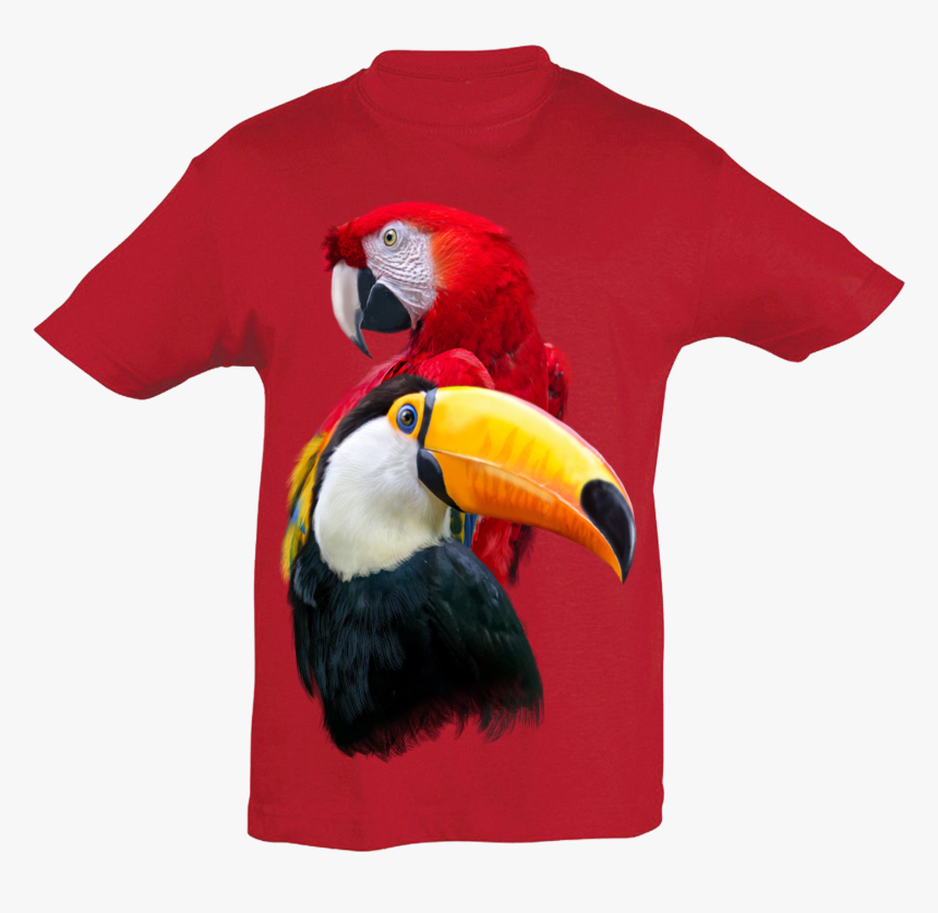 Toucan, HD Png Download