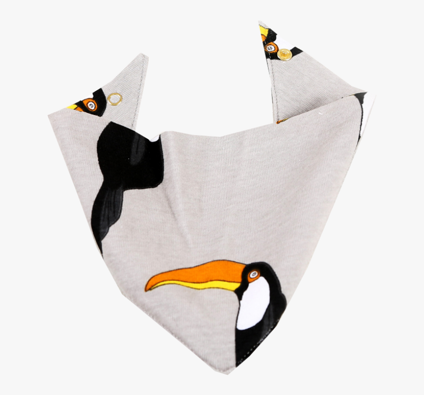 Toucan, HD Png Download