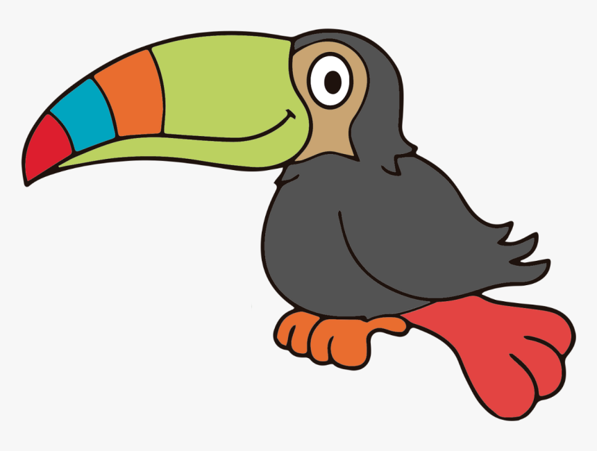 Tucan Png, Transparent Png