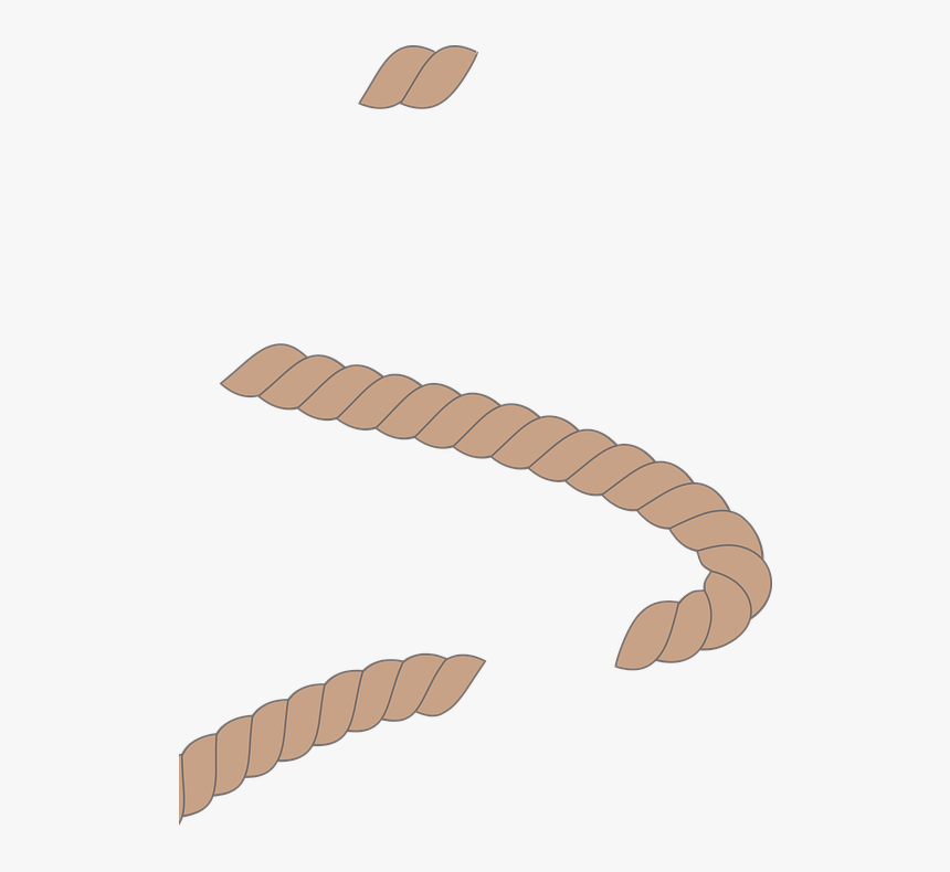 Rope, Rope Brush, Brown - เชือก Png, Transparent Png