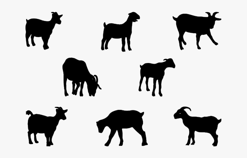 Boer Goat Pygmy Goat Nigerian Dwarf Goat Anglo-nubian - Baby Goat Clipart Black And White Silhouette, HD Png Download