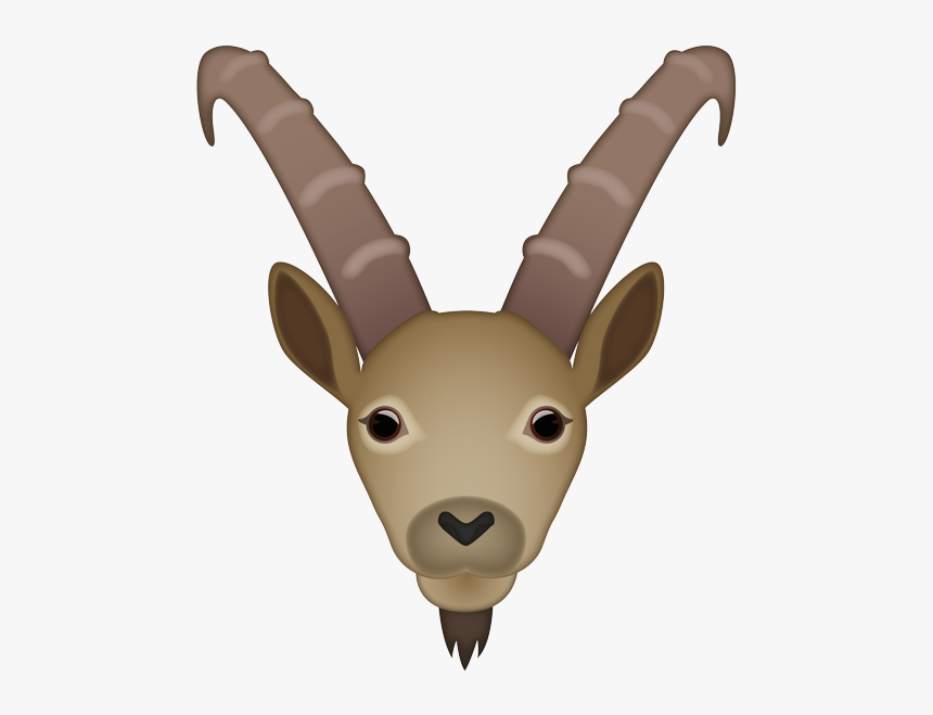 Deer, HD Png Download