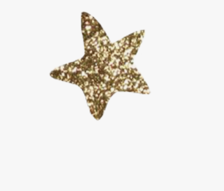 #star #stars #gold #glitter #sticker #edit #goldglitter - Marine Invertebrates, HD Png Download