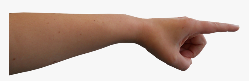 Show, Hand, Gestures, Isolated, Human, Index Finger - Pointer Du Doigt Png, Transparent Png