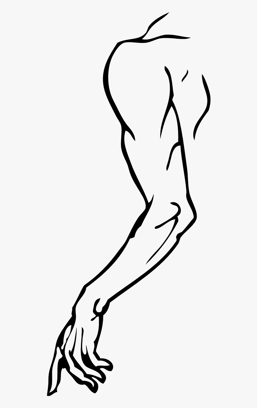 Arm Clip Art, HD Png Download