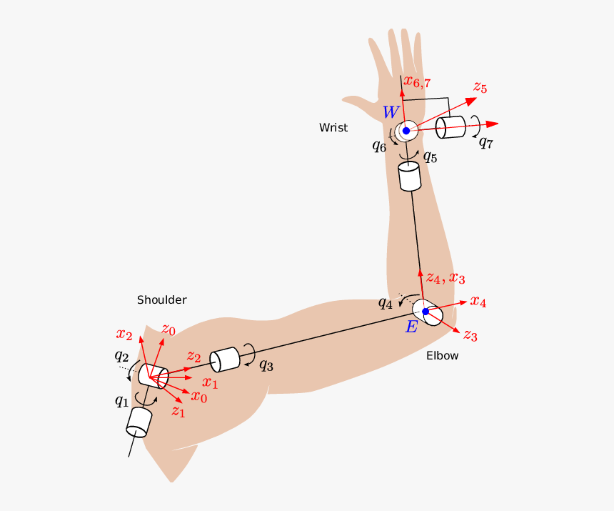 Arm Kinematics, HD Png Download